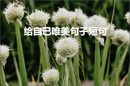 缁欒嚜宸卞敮缇庡彞瀛愮煭鍙ワ紙鏂囨311鏉★級