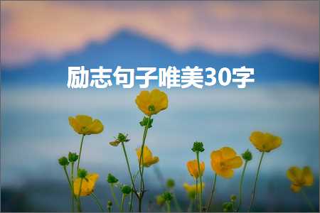 励志句子唯美30字（文案355条）