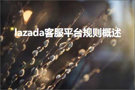 璺ㄥ鐢靛晢鐭ヨ瘑:lazada瀹㈡湇骞冲彴瑙勫垯姒傝堪