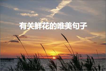 鎻忓啓鐩涘娓呮櫒鐨勫彞瀛愬敮缇庯紙鏂囨652鏉★級