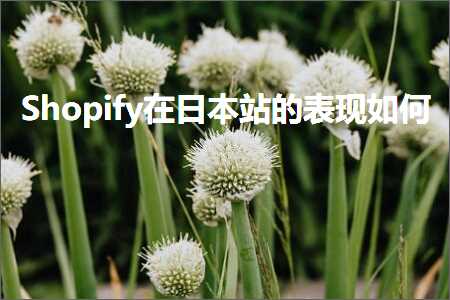 璺ㄥ鐢靛晢鐭ヨ瘑:Shopify鍦ㄦ棩鏈珯鐨勮〃鐜板浣? width=