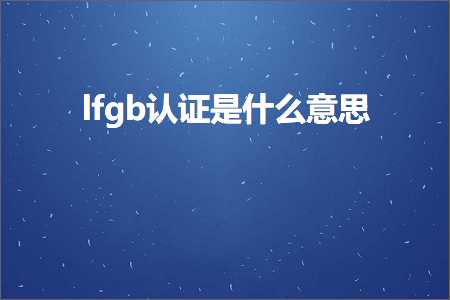 璺ㄥ鐢靛晢鐭ヨ瘑:lfgb璁よ瘉鏄粈涔堟剰鎬? width=