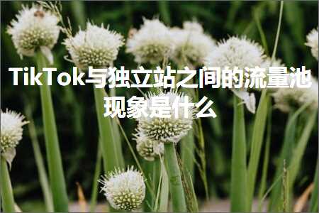 跨境电商知识:TikTok与独立站之间的流量池现象是什么