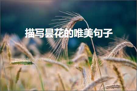 鎻忓啓鏄欒姳鐨勫敮缇庡彞瀛愶紙鏂囨32鏉★級