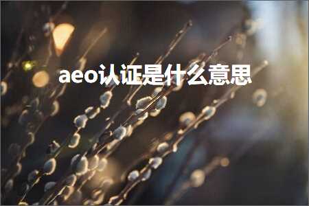 跨境电商知识:aeo认证是什么意思